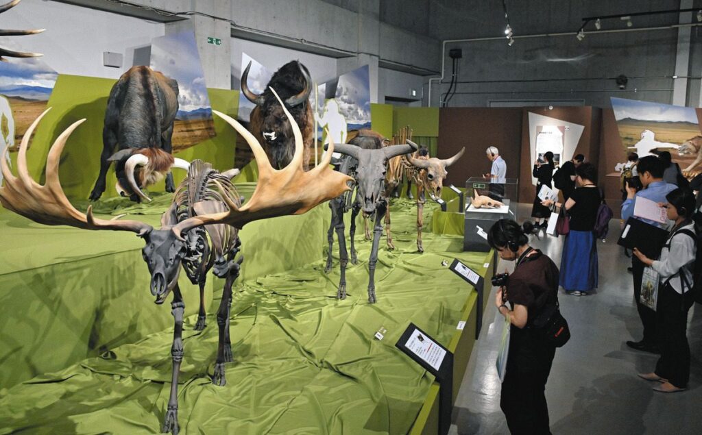 特別展「氷河期展」始まる　過酷な環境、人類が見た4万年前の世界に迫る　国立科学博物館で10月13日まで